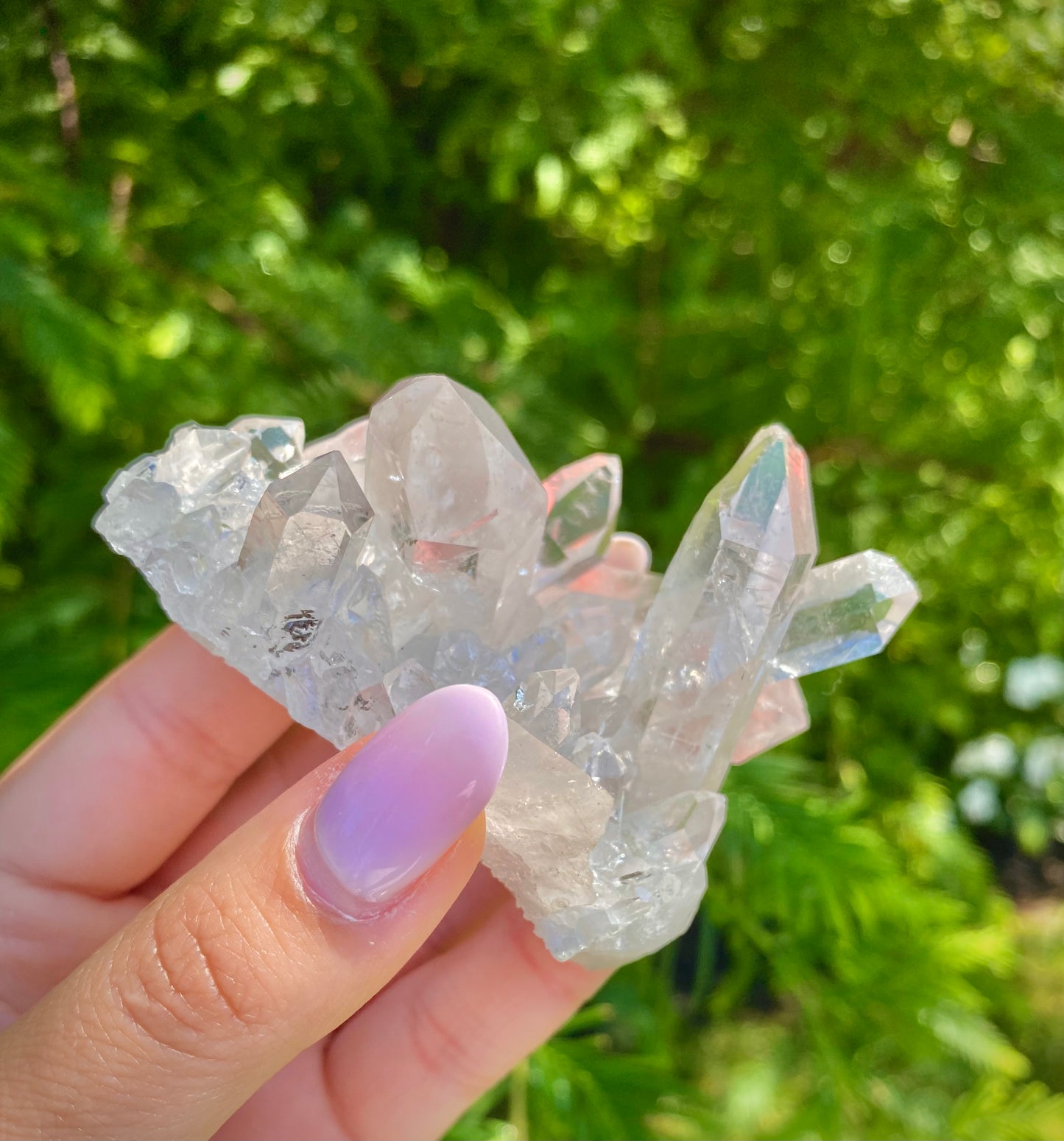 Clear Quartz Cluster