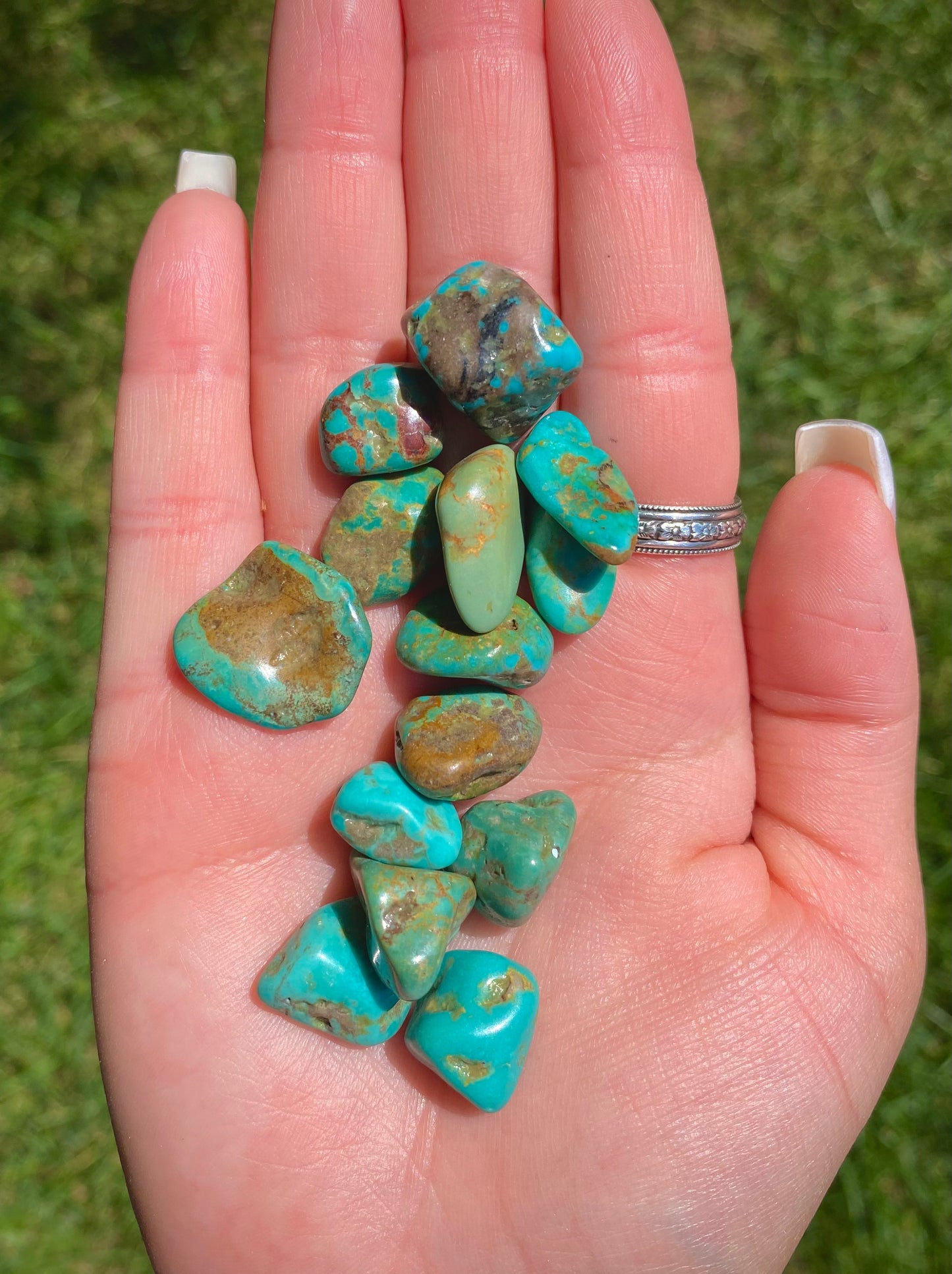 Mexican Turquoise