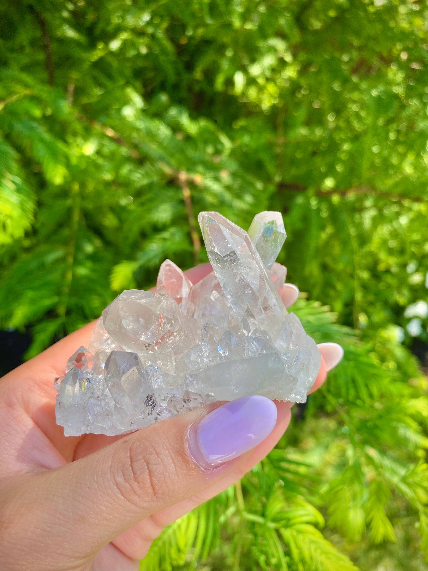 Clear Quartz Cluster